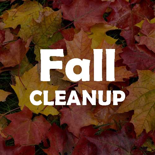 Village Fall Leaves Cleanup