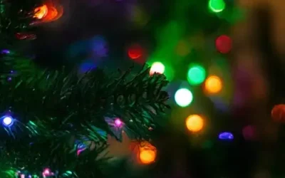 🌟 Annual Village Lighting Ceremony 🌟