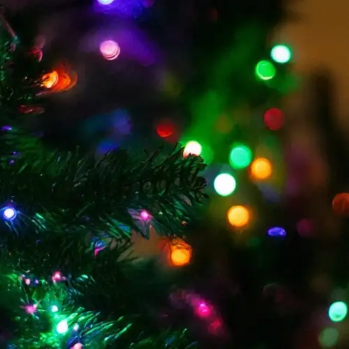 🌟 Annual Village Lighting Ceremony 🌟