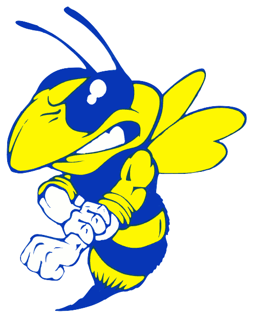 🎉 Congratulations, East Canton Hornets! 🐝🏈
