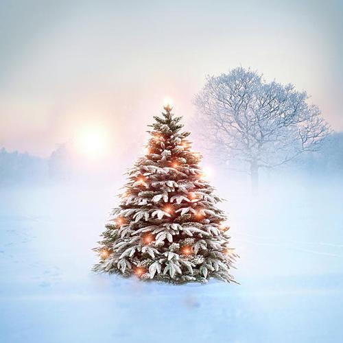 Light Up East Canton